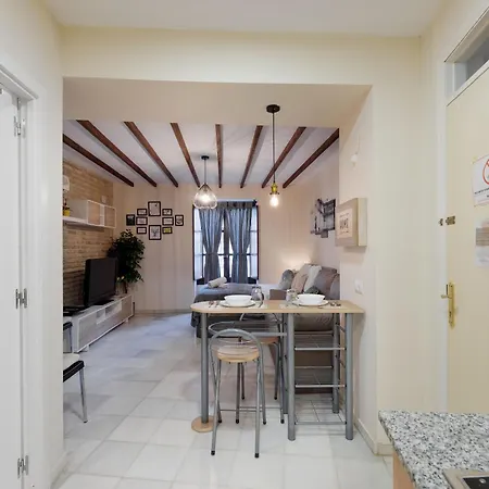Y Lofts En Triana Apartment Seville