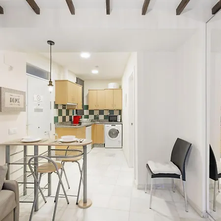 Apartment Y Lofts En Triana *