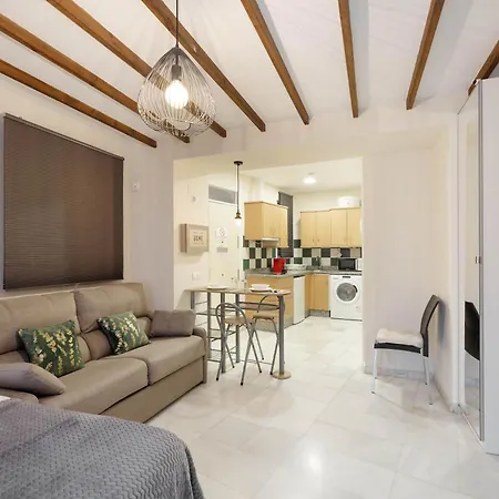 Y Lofts En Triana Apartment *